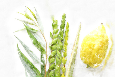 犹太住棚节的水彩画风格和抽象形象。传统符号(四种):Etrog, lulav, hadas, ara