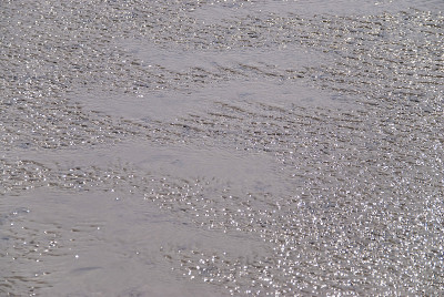 奥兰瓦登海