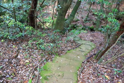森林，Hallasan，山谷，石头，苔藓门，苔藓楼梯，苔藓，寺庙，Hyonom，