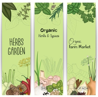 垂直旗帜设置香料和香草