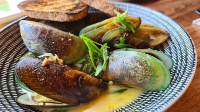 特写:白葡萄酒盘里的绿唇贻贝