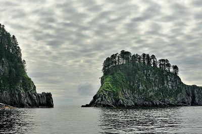 阿拉斯加。基奈湾海岸。