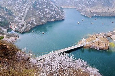 长城上的桃花，北京