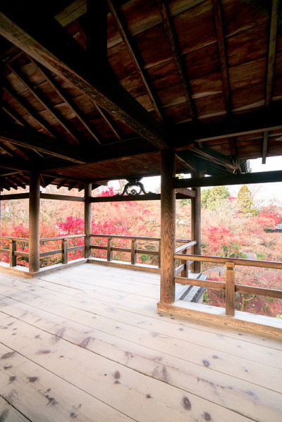 Tofuku-ji寺
