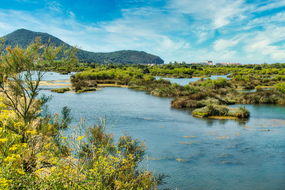 Santoña西班牙坎塔布里亚沼泽自然公园