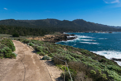 Point Lobos州自然保护区，大苏尔，卡梅尔高地，蒙特利县，美国加州