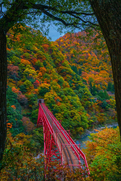 秋谷的风景