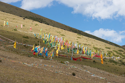 祈祷旗和山景