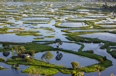 Loktak湖,曼尼普尔邦