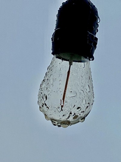 雨中的爱迪生灯泡