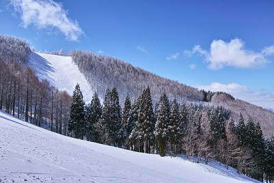 滑雪区