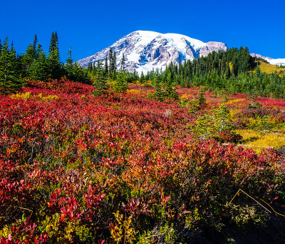 雷尼尔山