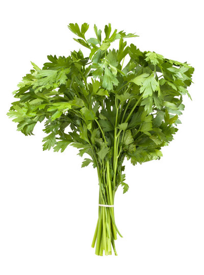 欧芹
