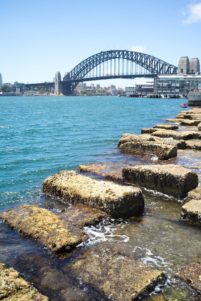 Barangaroo储备