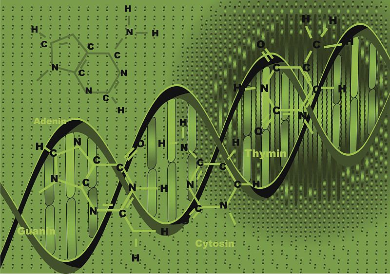 背景与DNA