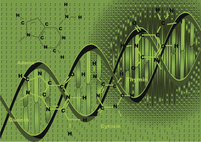 背景与DNA