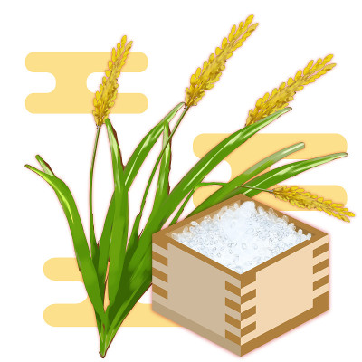 大米和大米在一个盒子里