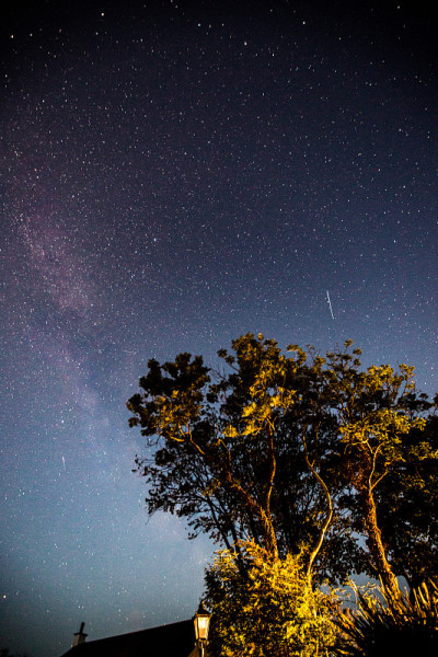 银河和树上的流星