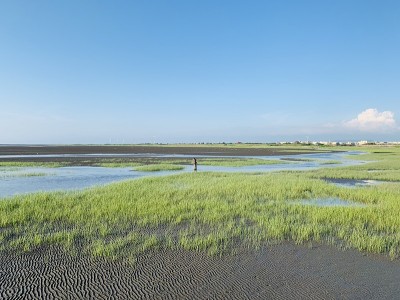 Gaomei湿地