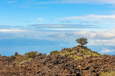 特内里费加那利Teide火山熔岩景观