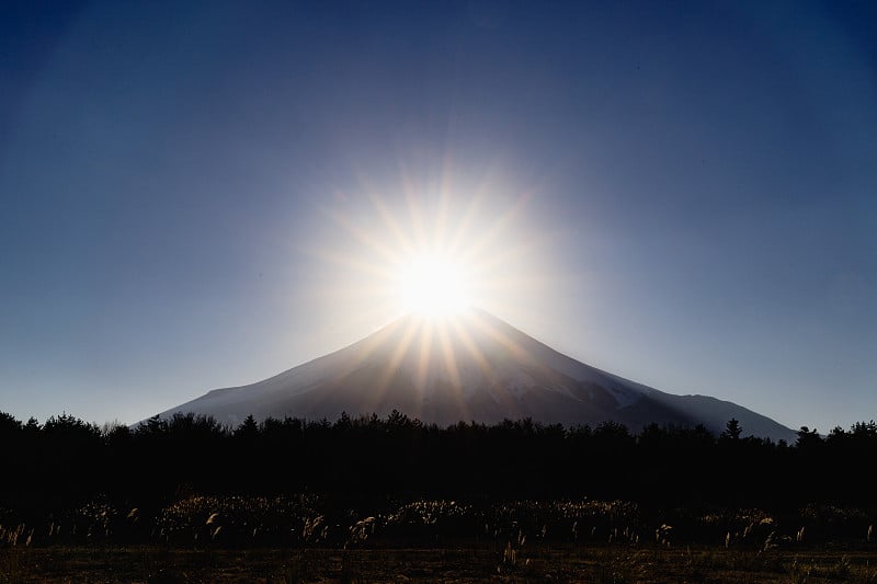 山梨县花之宫公园的钻石富士