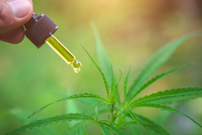 大麻油滴细节，药草，滴管，生物医药和生态cbd油从医学提取