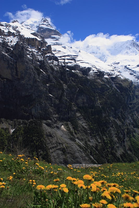 瑞士阿尔卑斯山