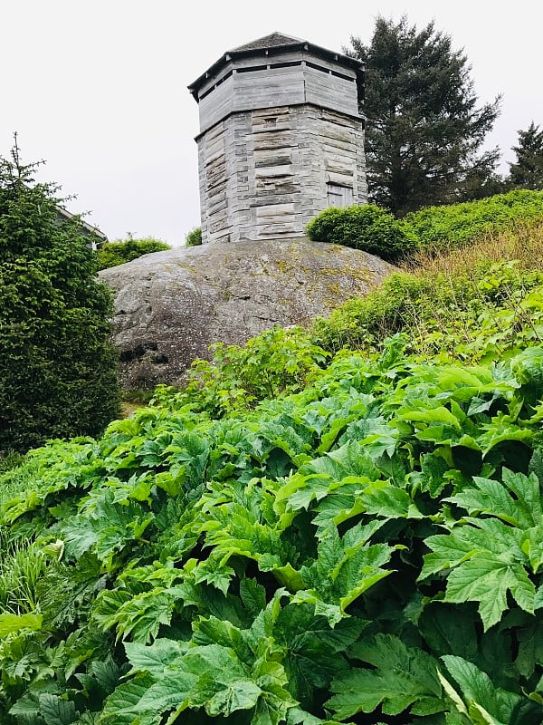 废弃的塔吊或阿拉斯加锡特卡的一座山岩