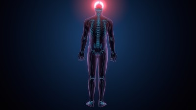 人体骨骼颅骨顶骨解剖的3d插图