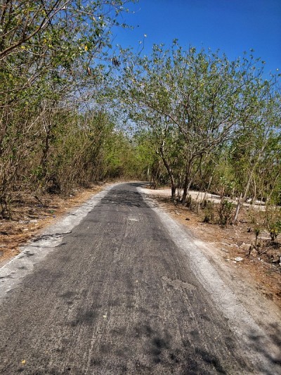路