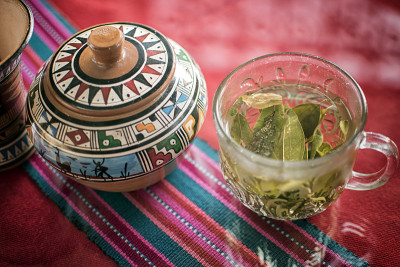 古柯叶茶