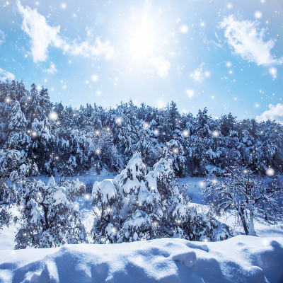 树林里下雪了