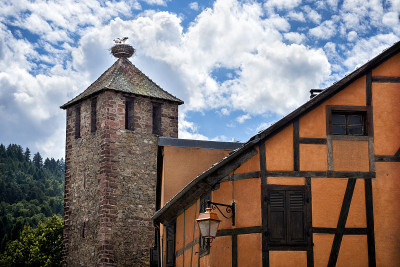 Kaysersberg，鹳在巢上。阿尔萨斯,法国