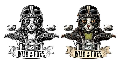 猫骑着摩托车。向量的雕刻