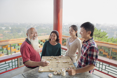 家庭象棋(象棋)