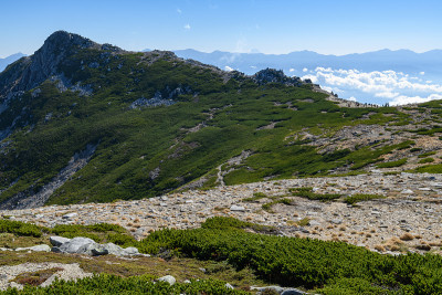 深秋的稻岭山