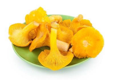 黄鸡油菌碟