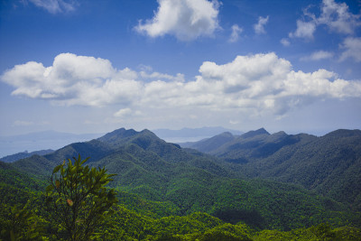 岩岛