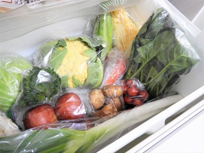 refrigerator8