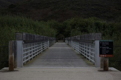 缪尔海滩周围的风景，加利福尼亚