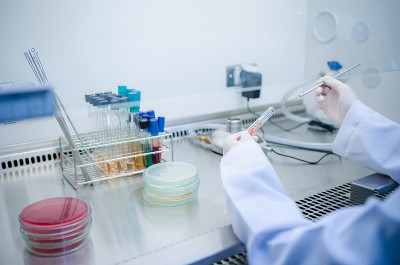 在实验室，研究和科学概念中，科学家使用化学溶液和设备对通风柜上的细菌或病毒进行实验室测试