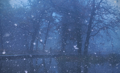 冬天的森林里下雪了