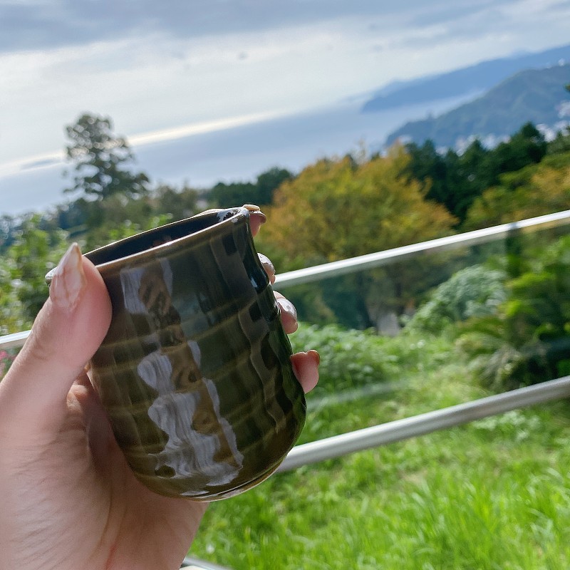 在森林中刷新