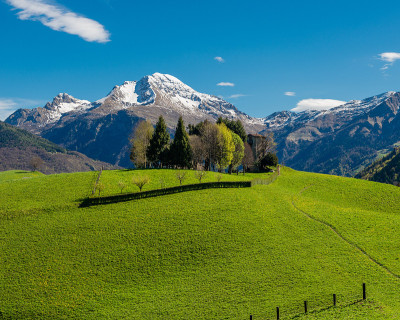 山