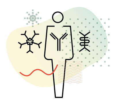 免疫球蛋白-抗体-复合蛋白-图标