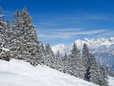 滑雪坡