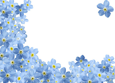 forgetmenot边境