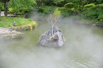 雾中出现了什么东西