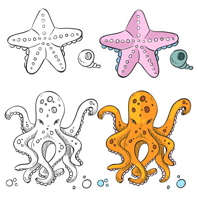 海洋生命着色页面设计。海星和章鱼