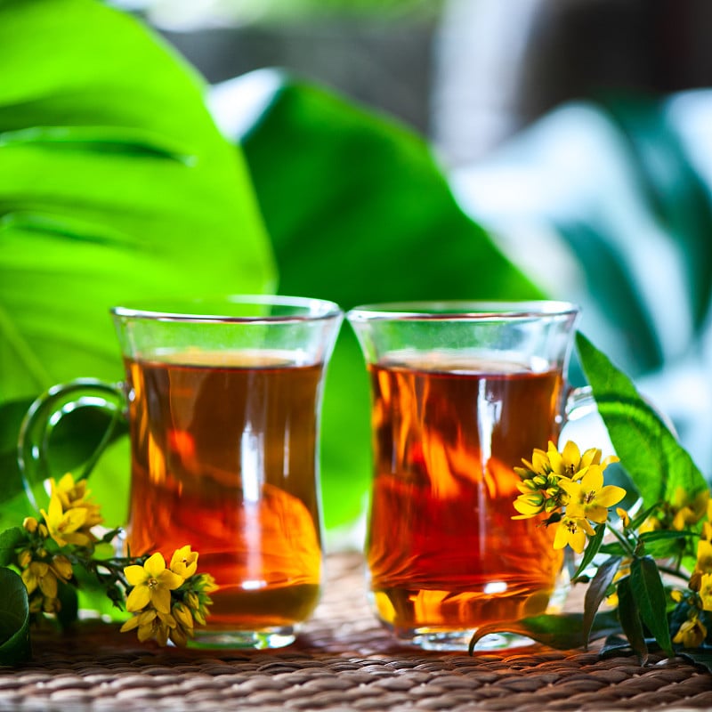 草药茶由圣约翰草，有机茶与草药金丝桃提取物